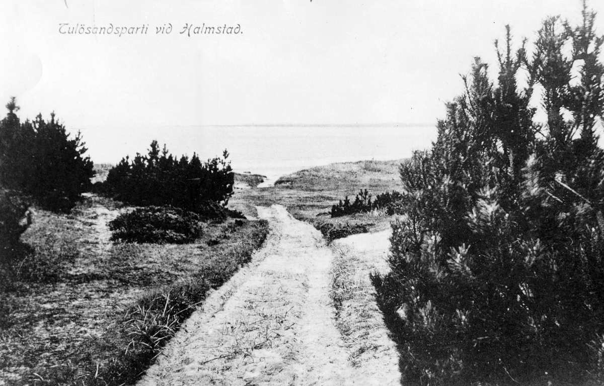 Söndrums sn. Strandbilder från Tylösand.
Text på foto 1: Tulösandsparti vid Halmstad.
Text på foto 9: Strandparti från Tylösand.