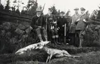 Ett jaktlag har samlats för gruppfoto efter rådjursjakten, ca. 1925.