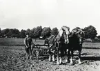 Sådd på en åker vid Teleborgs slott. En man kör med två hästar. 1940-tal.