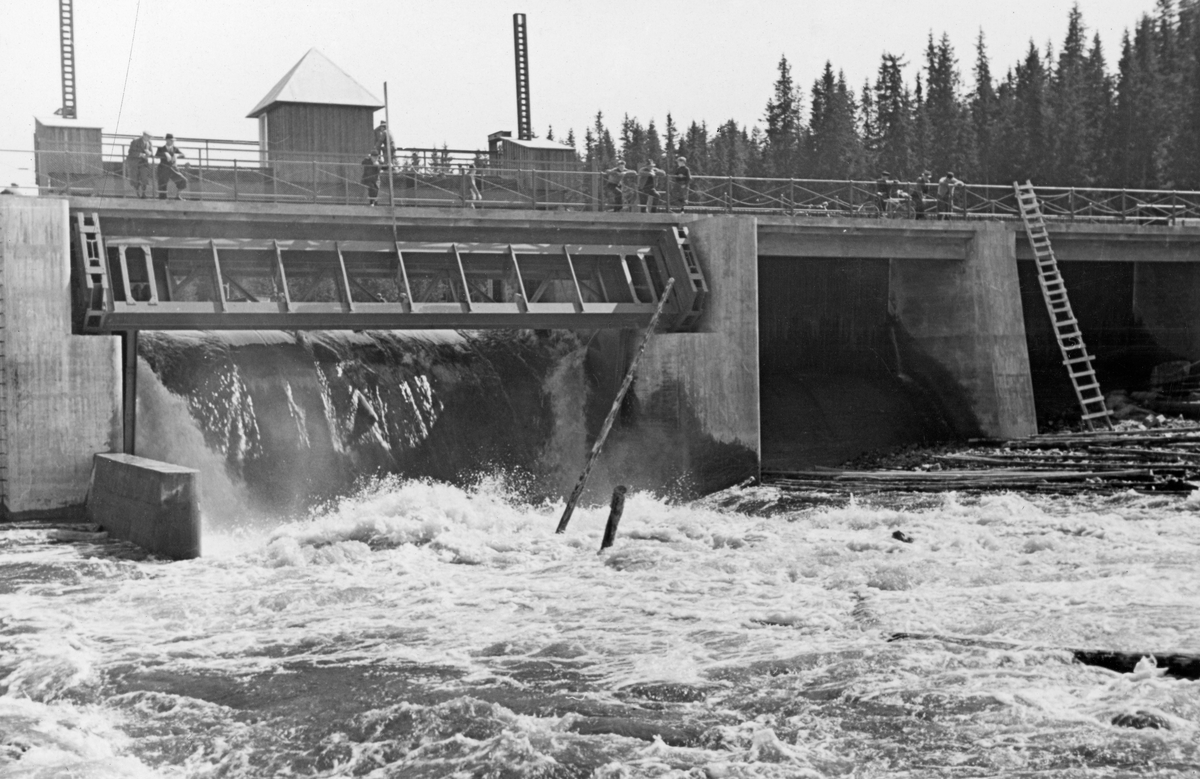 Fra første tapping gjennom Osdammen, den nye reguleringsdammen som ble innviet ved utløpet av Osensjøen ved Valmen i Nordre Osen i Åmot, Hedmark i 1939. Fotografiet er tatt i motstrøms retning, mot en betongdam der vannet og tømmerstokkene fra innsjøen rant over en terskel og ned i elva Søndre Osa, der fløtingsvirket i første omgang ble liggende i et strømkav. Ettersom dette fotografiet ble tatt den første dagen dammen var i drift, var en del mann samlet på dambrua for å se hvordan anlegget fungerte.

Dammen ble bygd  for å kunne kontrollere vannstrømmen ut fra Osensjøen, dels for å hindre skadeflommer i den nærmest nedenforliggende delen av vassdraget og for å kunne forsyne nedenforliggende kraftverk med nødvendig vann også i lavvannsperiodene på ettervinteren og tidlig i vårsesongen.

Damprosjektet skapte også muligheter for ei bru som åpnet for gjennomgangstrafikk langs Osensjøens vestside. Etter forhandlinger med Glommen og Laagens brukseierforening om veg på damkrona vedtok fylkesvegstyret i 1937 å betale de merutgiftene dette var kalkulert å ville påførte utbyggerne – 12 010 kroner – over tre år. 

Mer informasjon om hvordan denne reguleringssaken ble fremmet finnes under fanen «Opplysninger».