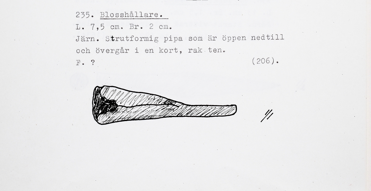 Blosshållare i form av en strutformig piga som är öppen nedtill och övergår i en kort, rak ten.