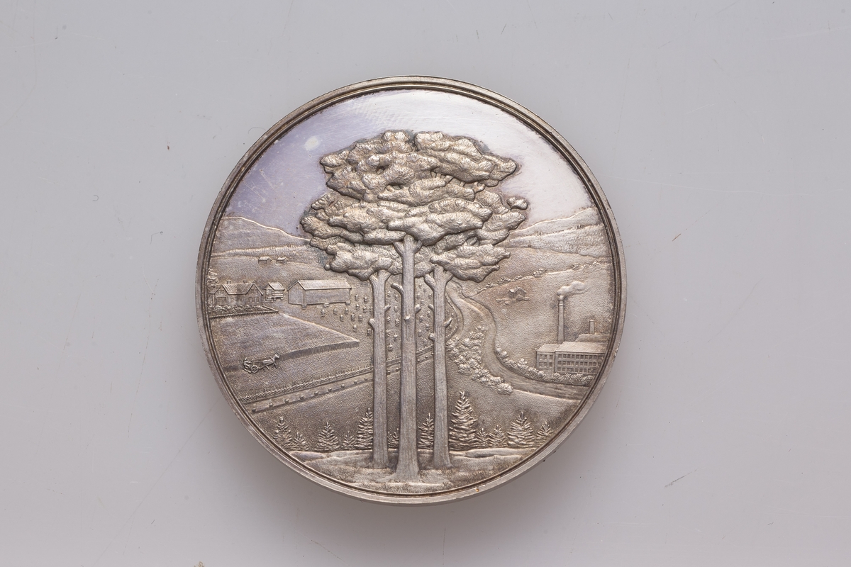 Medalje og sort etui.
