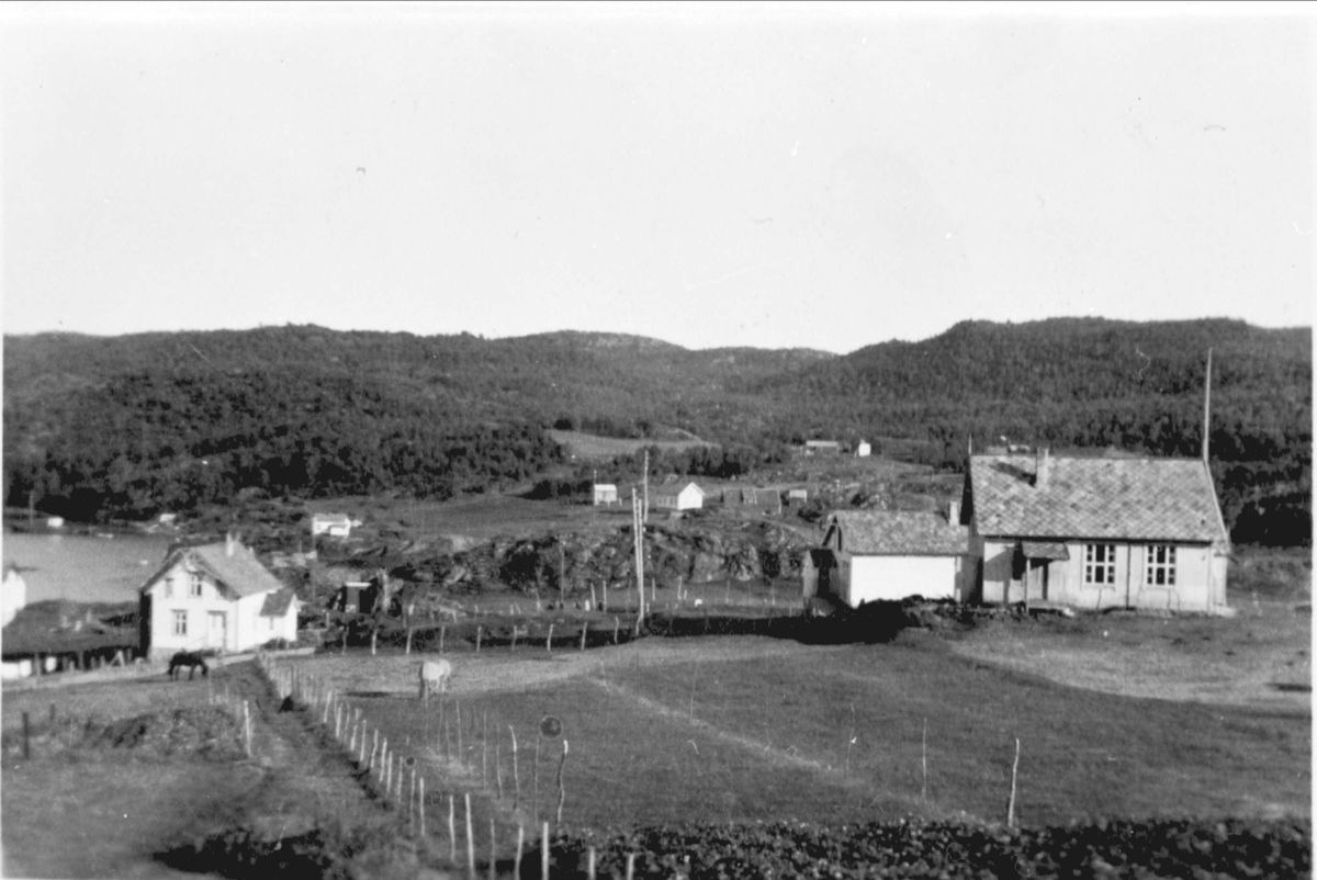 Bedehuset i Kilbotn. Hester gresser på markene foran.