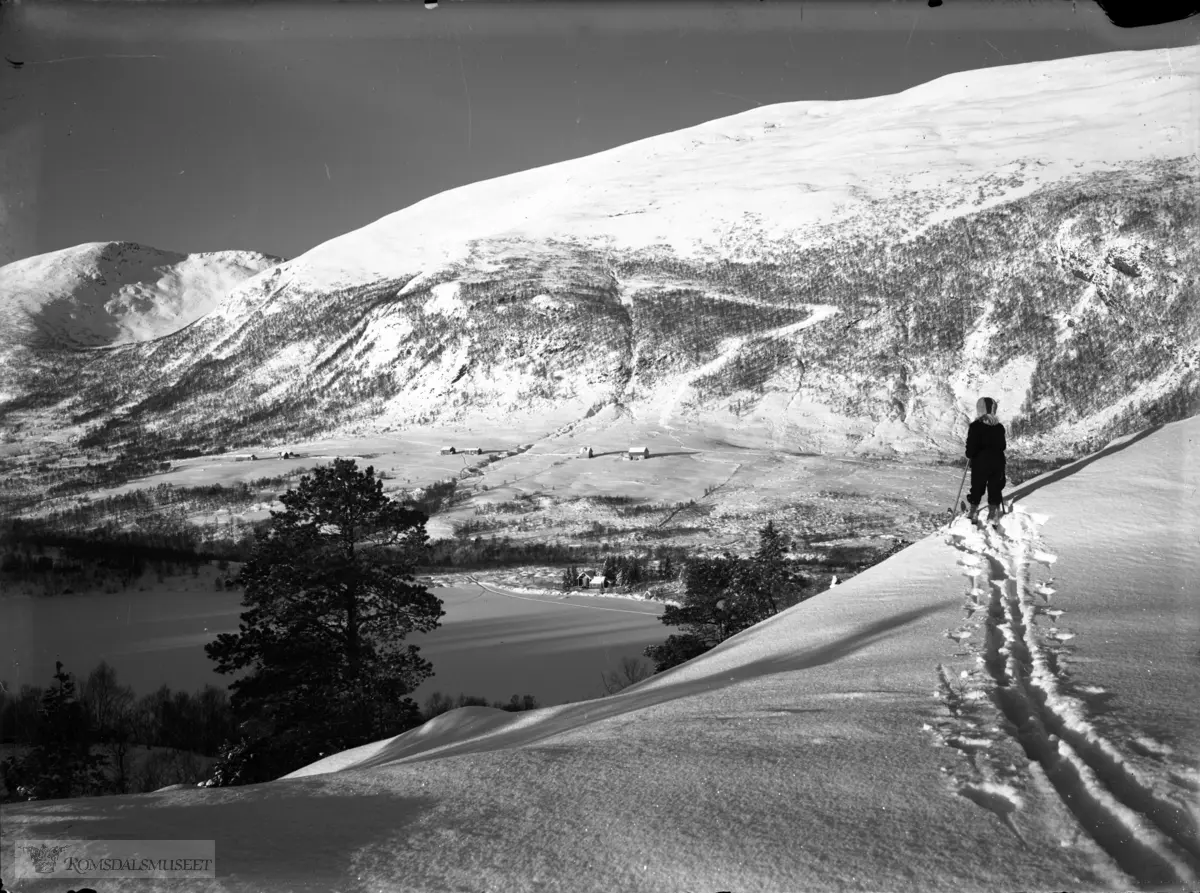 Frå Lønsetfjellet (Skårsfjellet) mot Skarvatnet, Melsetra og Urfjellet bak t.h.