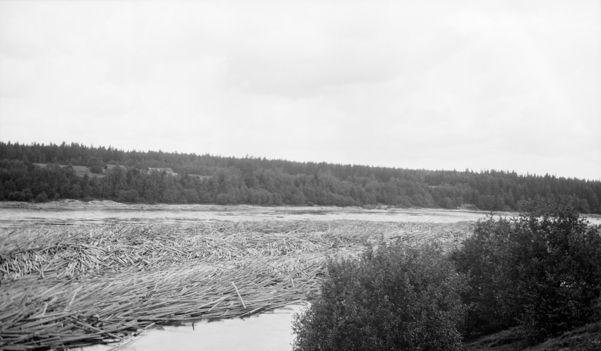 Tømmervaser ovenfor Bingsfoss i Glomma. Sørum, Akershus