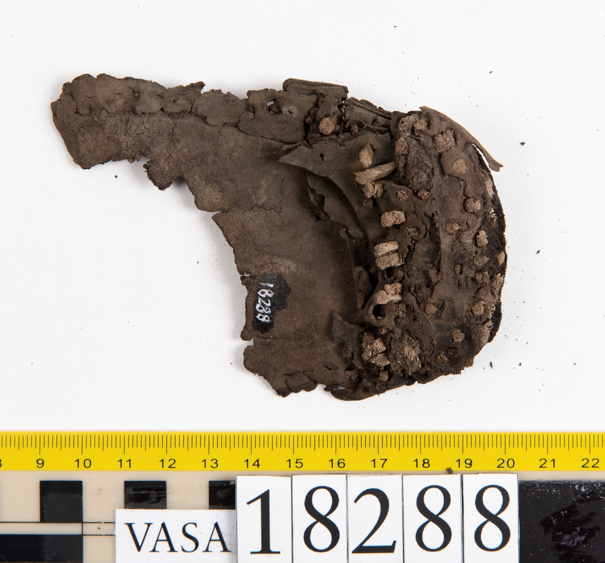 Åtta större delar samt ett hundratal fragment från sko: del av skobotten, bakkappa, fragmentariska sulor, ovanläder, inlägg, sidostycke mm.

En bit av ovanlädret sitter fästat med skopligg vid skobottnen.

Ett fragmentariskt sidostycke. Nedanför styckets övre ytterkant syns två inristade linjer.

Lädret är mycket fragmentariskt och sprött och flera av delarna och fragmenten ligger hopvikta.