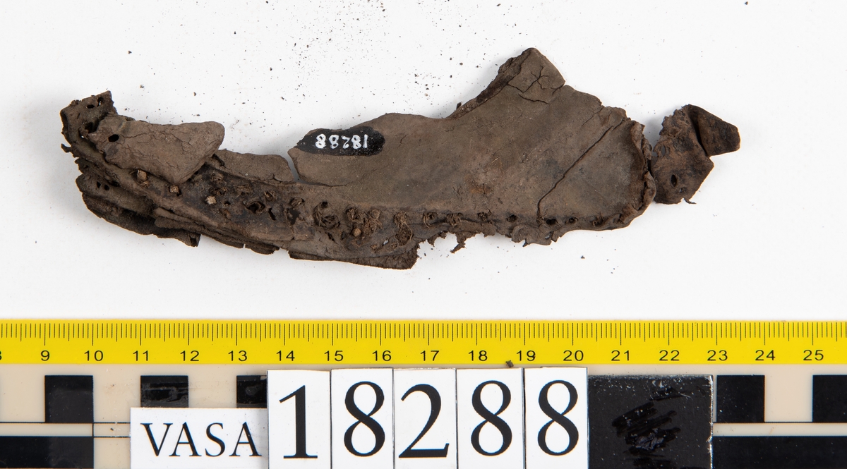 Åtta större delar samt ett hundratal fragment från sko: del av skobotten, bakkappa, fragmentariska sulor, ovanläder, inlägg, sidostycke mm.

En bit av ovanlädret sitter fästat med skopligg vid skobottnen.

Ett fragmentariskt sidostycke. Nedanför styckets övre ytterkant syns två inristade linjer.

Lädret är mycket fragmentariskt och sprött och flera av delarna och fragmenten ligger hopvikta.