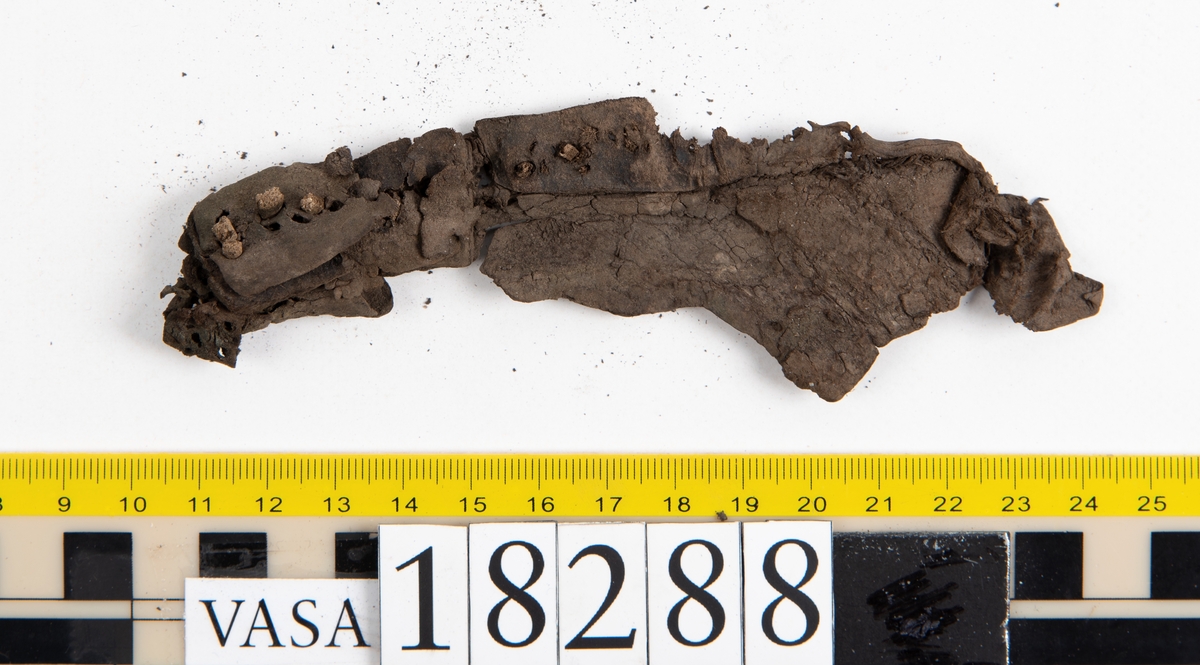 Åtta större delar samt ett hundratal fragment från sko: del av skobotten, bakkappa, fragmentariska sulor, ovanläder, inlägg, sidostycke mm.

En bit av ovanlädret sitter fästat med skopligg vid skobottnen.

Ett fragmentariskt sidostycke. Nedanför styckets övre ytterkant syns två inristade linjer.

Lädret är mycket fragmentariskt och sprött och flera av delarna och fragmenten ligger hopvikta.