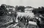 Växjö stads växthus i nuv. Linnéparken, Växjö. Stadsträdgårdsmästare Carl Hjelmberg med personal.
Ca. 1915.