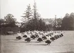 Elever vid småskoleseminariet i Växjö har gymnastik för gymnastikdirektör Nils Danckwardt.
1910-tal.