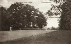 Tennisplanen vid Teleborgs slott. 1920-tal.