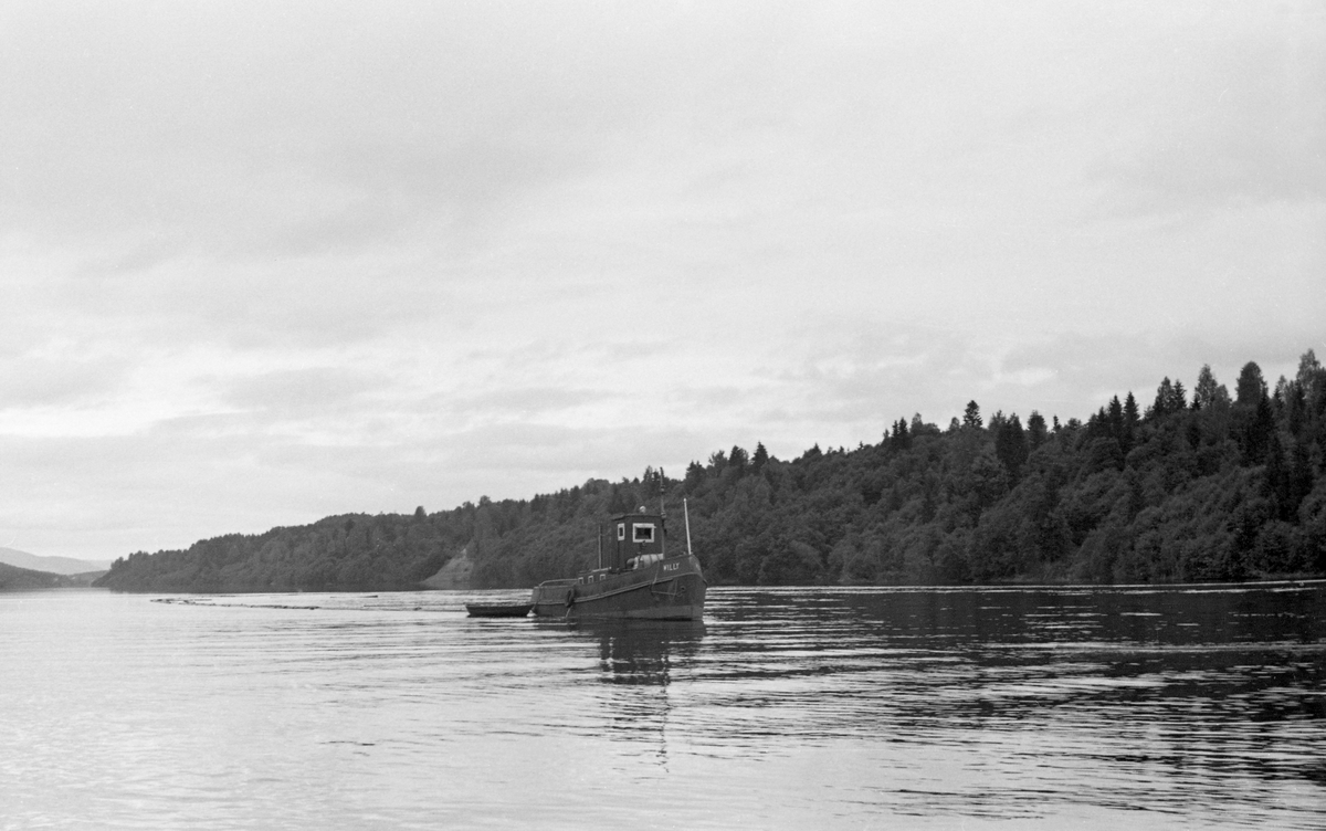 Slepebåten Willy under «sluttrensken» i 1954, altså den prosessen der de siste tømmerstokkene skulle samles og føres videre nedover vassdraget med strømmen. Dette ble tilsynelatende gjort ved at gjenliggende tømmerstokker ble samlet i en ringbom - en sirkel av tømmerstokker som var kjedet sammen ende mot ende - et flytende stengsel rundt løstømmeret, som ble buksert langsomt nedover den stilleflytende elva.

Slepebåten M/S Willy ble bygd ved det engelske verftet James Taylor Ltd. i 1944. Fartøyet var egentlig konstruert for bruk i krigføring i tropiske strøk. Skroget var 46,8 meter langt og 11 fot bredt. Båten var utstyrt med en Russel-Neurbery-motor. Glomma fellesfløtingsforening kjøpte den i 1949. Året etter fikk Willy et styrehus som skulle fungere godt når fartøyet ble brukt som tømmersleper. Dette kan ikke ha vært helt vellykket, for styrehuset ble byttet ut alt i 1958. Samtidig ble skroget forlenget, slik at det ble 52 fot langt. Willy gikk som slepebåt på Mjøsa fram til 1980. Seinere Glomma og Lågen Brukseierforening eid båten, som hele tida har hatt base ved Minnesund i sørenden av Mjøsa.