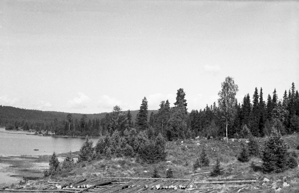 Igjenlagt tømmer ved Nøkktjennet, Austvassåa, Nord-Odal, Hedmark. Vann. Skog.