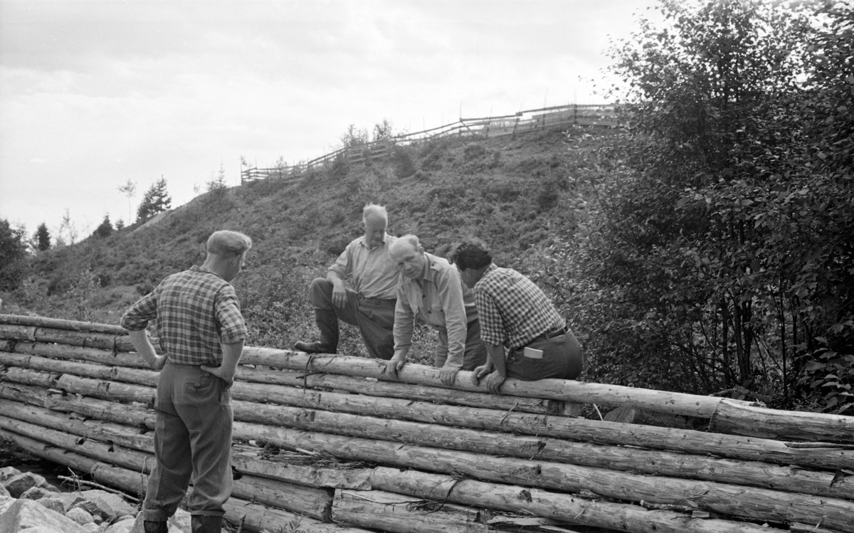 Fra åbefaring i Tannåa i Odalen sommeren 1954.  Vi ser fire karer ved en tømmerskjerm eller skådam, tilsynelatende en bukkekonstruksjon som det var festet horisontale tømmerstokker til, slik at det ble dannet en vegg som skulle hindre fløtingstømmeret i å stryke på land når Tannåa gikk flomstor og full av tømmer om våren.  Her drøftes antakelig vedlikeholdsutfordringer.  Karene skal ha vært Engebret Bjørnstad, Knut Haagenrud, Arne Holth og Ole H. Grinden