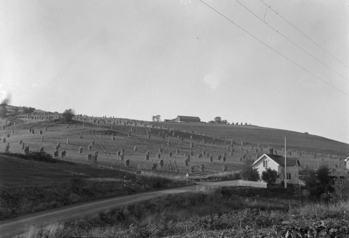 Børsa, landskap