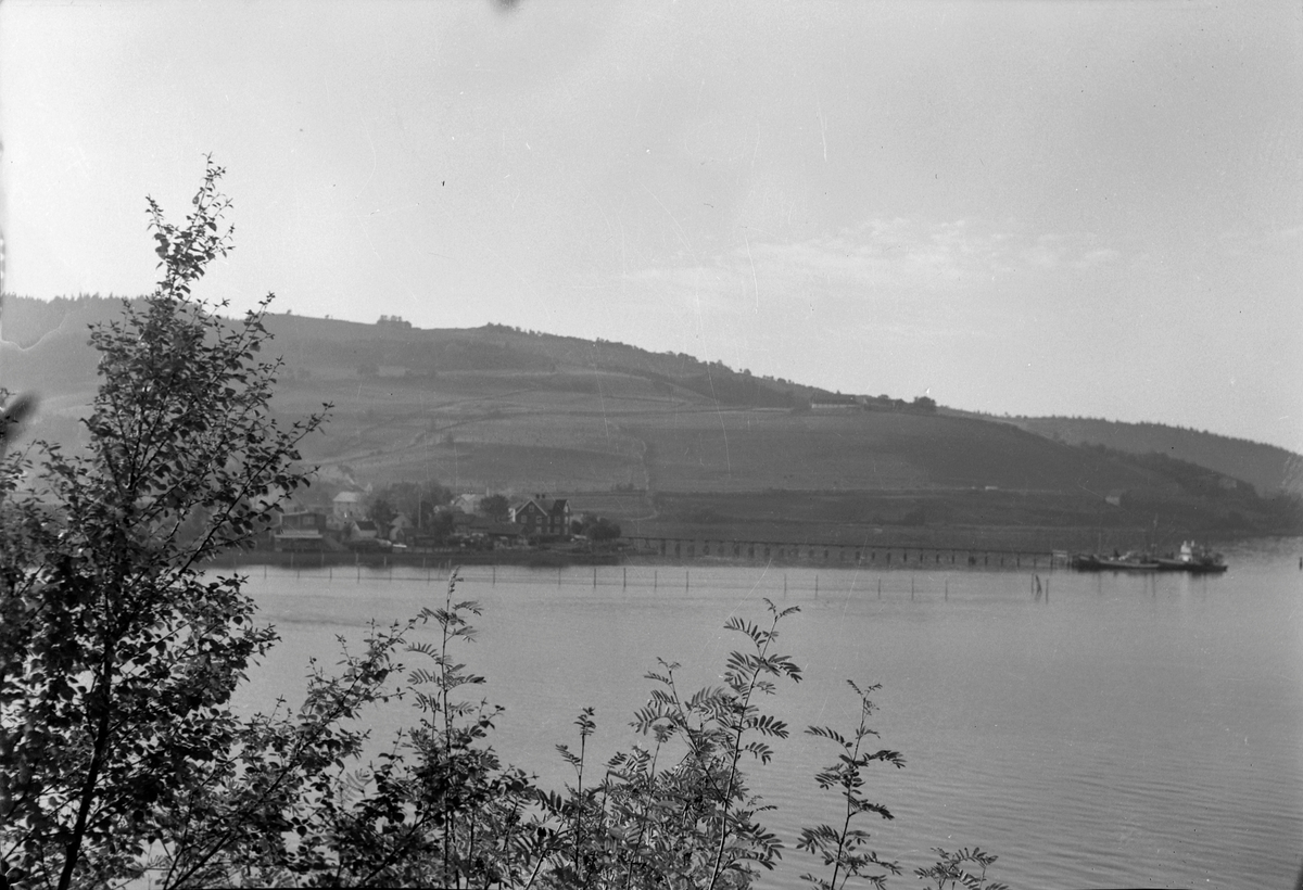 Børsa, landskap
