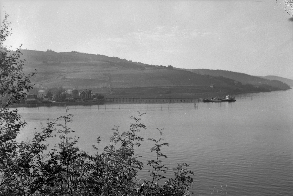 Børsa, landskap