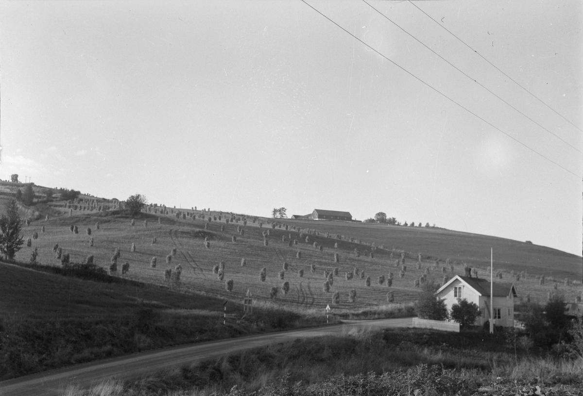 Børsa, landskap