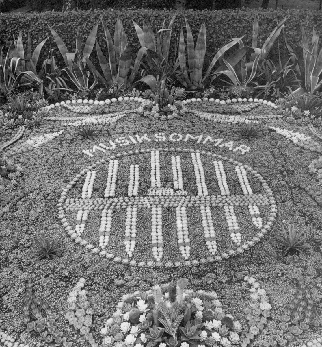 Bild i tidningsartikel med detalj ur kaktusplanteringen 1969 i Varbergs järnvägspark med en medaljong krönt av texten "Musiksommar". Bildtext: "Musiksymbol sommarens motiv i järnvägsparkens kaktusplantering."