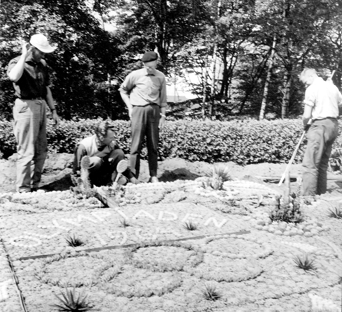 Kaktusplanteringen i Järnvägsparken år 1964. Årets motiv visar de olympiska ringarna under texten "Olympiaden 1964". Bildtext: "Sommarattraktion i vardande. Stadsträdgårdsmästare Oscar Johansson (i basker) och medhjälpare."
