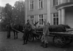 Älgjakt på Dömle 1935