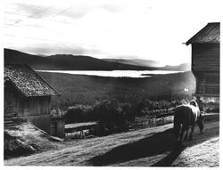 Tunhovd, mot Pålsbufjorden