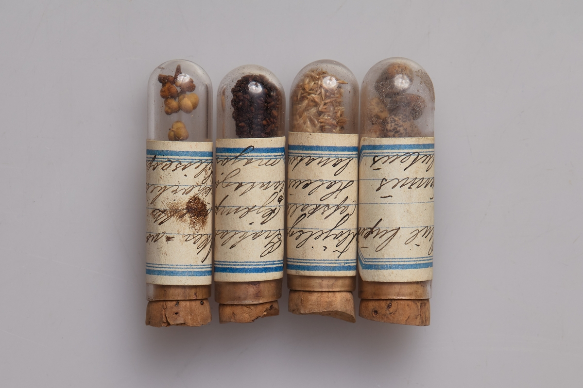 Frøprøver. 29 små prøveglass med etiketter som har frønavnet på norsk og latin. Ole Helgestad f. 1863 har samlet frøprøvene da han gikk på Landbruksskolen på Haug i Vardal 
1. Åkervortemelk 2. Alm 3. Anis 4. Balderbrå. 5. Blodkløver 6. Bojsyre 7. Dunkjempe 8. Engrævehale 9. Fløjelsgras 10. Fløjelsgras 11. Furu 12. Gran 13. Grobladkjempe 14. Humlesneglebelg 15. Hundekjeks 16. Kamgras 17. Kjørvel 17. Klengemaure 19. Kløverbuktet 20. Korsikansk furu 21. Lusern, gul 22. Lerketre 23. Lupin 24. Løvetann 25. Mellstokk 26. Merian 27. Rundbelg 28. Stivbladsvingel  29. Åkerdylle. Opprinnelig skal det ha vært 40 prøver, men nå er bare 29 bevart.