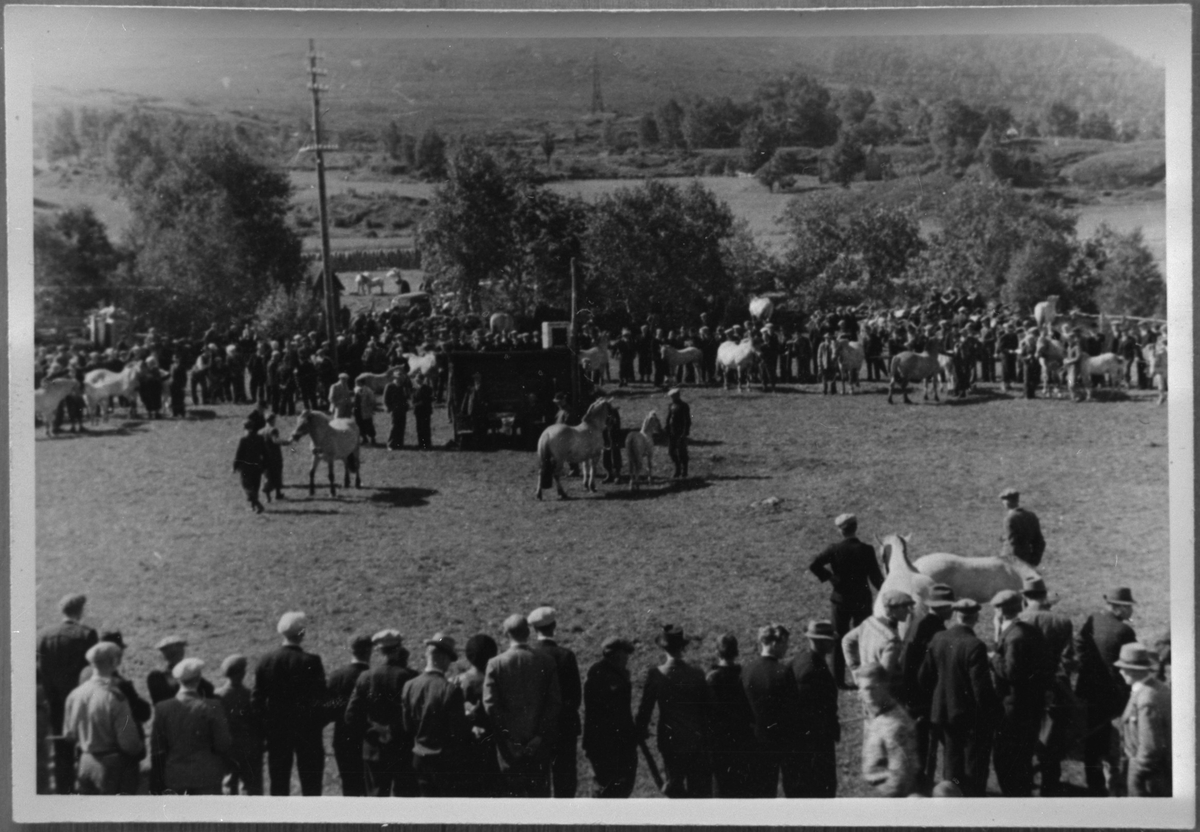 Hesteutsilling på garden Eide i Ølen, 1943.