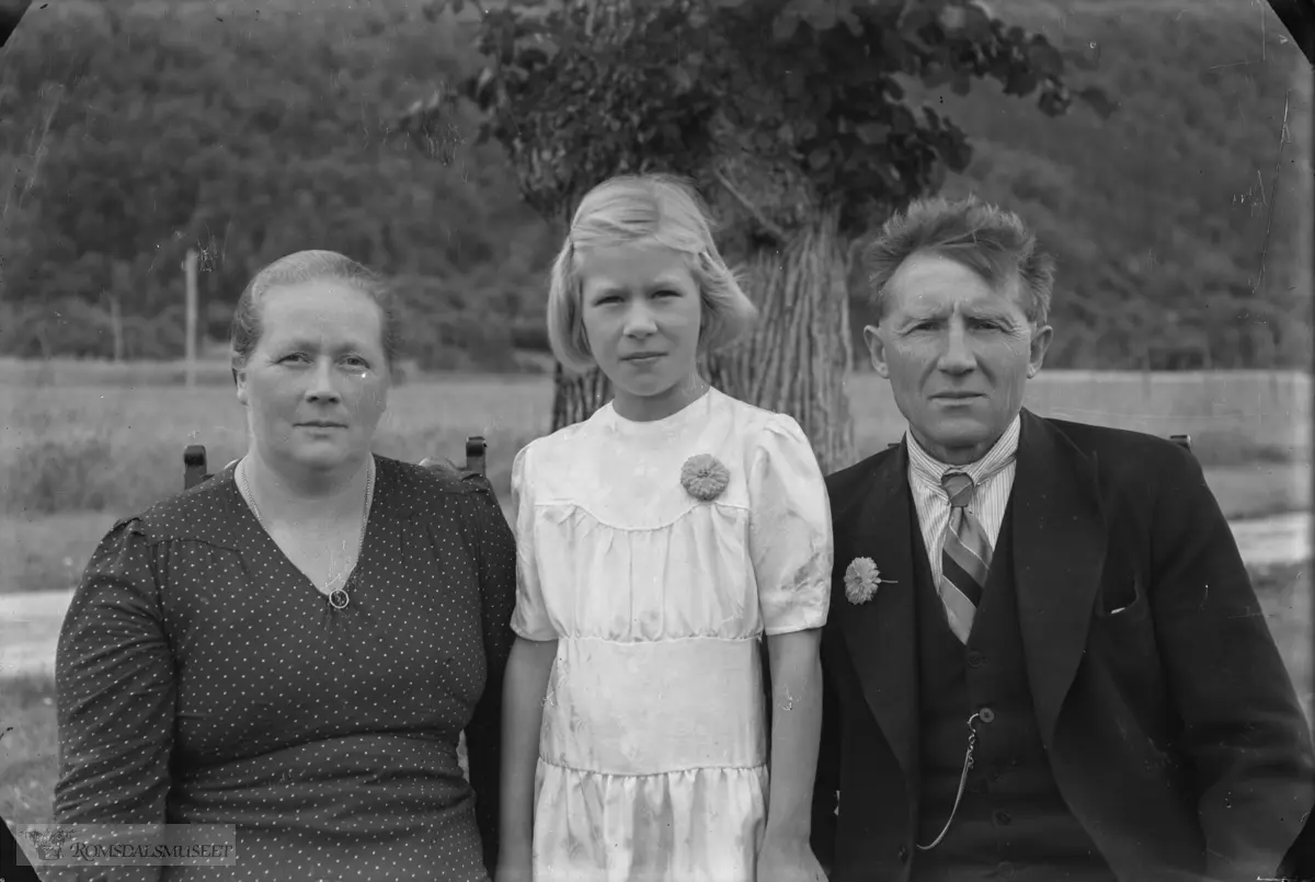 Frå Frisvoll, Dernedgarden, gnr. 78/7, Eresfjorden. Bildet er tatt ved almen (tuntreet) på garden.