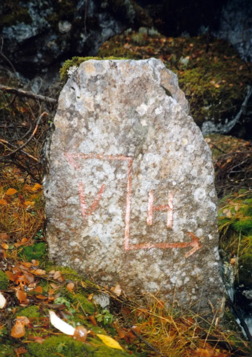 Grensemerke mellom Valle og Hylestad. 
Denne grensesteinen står ved rv 9 ved Flåstondi som var grensa mellom Hylestad og Valle kommune fram til 1962 då dei 2 kommunene blei slått sammen. 
Dette var også grensa mellom vegvokterrode 1 og 2. 
Opplysninger fra Pål Arnfinn Haugen.
Stedsnavn:  Kåvenes.