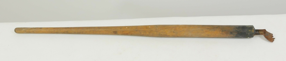 Enhjørning med faner i bakgrunnen. 