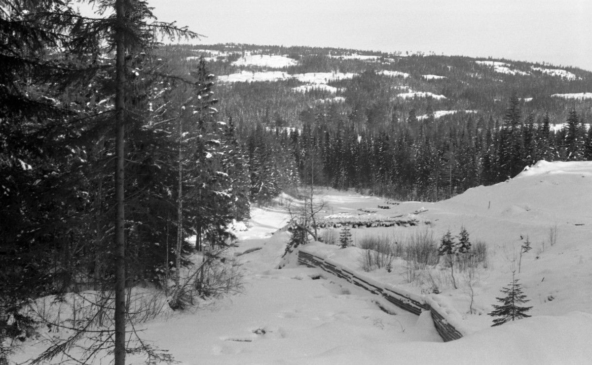 Vinterbilde, tatt mot Storbekkvelta i Gaukåa i Stange allmenning i 1955. Fotografen har stått på et høyt punkt og tatt bilde mot et islagt og snødekt åløp som på den ene sida var skjermet med en såkalt skådam, i dette tilfellet en skjerm lagd av liggende tømmerstokker for å forebygge at tømmeret drev på land. Nedenfor, på et forholdsvis slett areal mot åa, ser vi velteplassen, der tømmeret var lagt i strøvelter. Disse besto av floer, tømmerstokker som lå paralellt og tett, hverandre, lag for lag, vinkelrett på mellomliggende strøstokker. Poenget med denne luftige tilleggingsmåten var at tømmeret skulle få en forsiktig tørk før fløtingssesongen startet. Dette reduserte faren for at tømmerstokkene ble til søkketømmer på sin lange ferd nedover vassdraget. I 1955 var det innmeldt 19 360 tømmerstokker til fløting i Gaukåa.