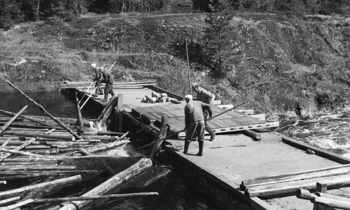 Tapping Styggådammen i Haugsåa i Nord-Odal i Hedmark, fotografert våren 1954. Fløterne hadde åpnet et av løpene i lukedammen. De fire lukene som hadde fungert som stengsel for dette løpet lå på dambrua da dette bildet ble tatt. Tømmeret fløt med det strømmende vannet mot dette løpet, styrt av ei traktformet ledelense. Nedenfor fløt det videre mellom strømvirlene i et kvitsdkummende elveløp. Fire fløtere sto parate med fløterhaker på dambrua. 

Trygve Bryn Haug og Arthur Munck eide dammen sammen med Romedal allmenning. Etter endt fløtingssesong i 1954, det året da dette fotografiet ble tatt, fikk Haug og Munck tillatelse til å heve vannstanden i den ovenforliggende Sætersjøen ved å bygge på Styggådammen. Hensikten var å skaffe jevnere og sikrere tilførsel av vann til kraftverket de to karene eide.