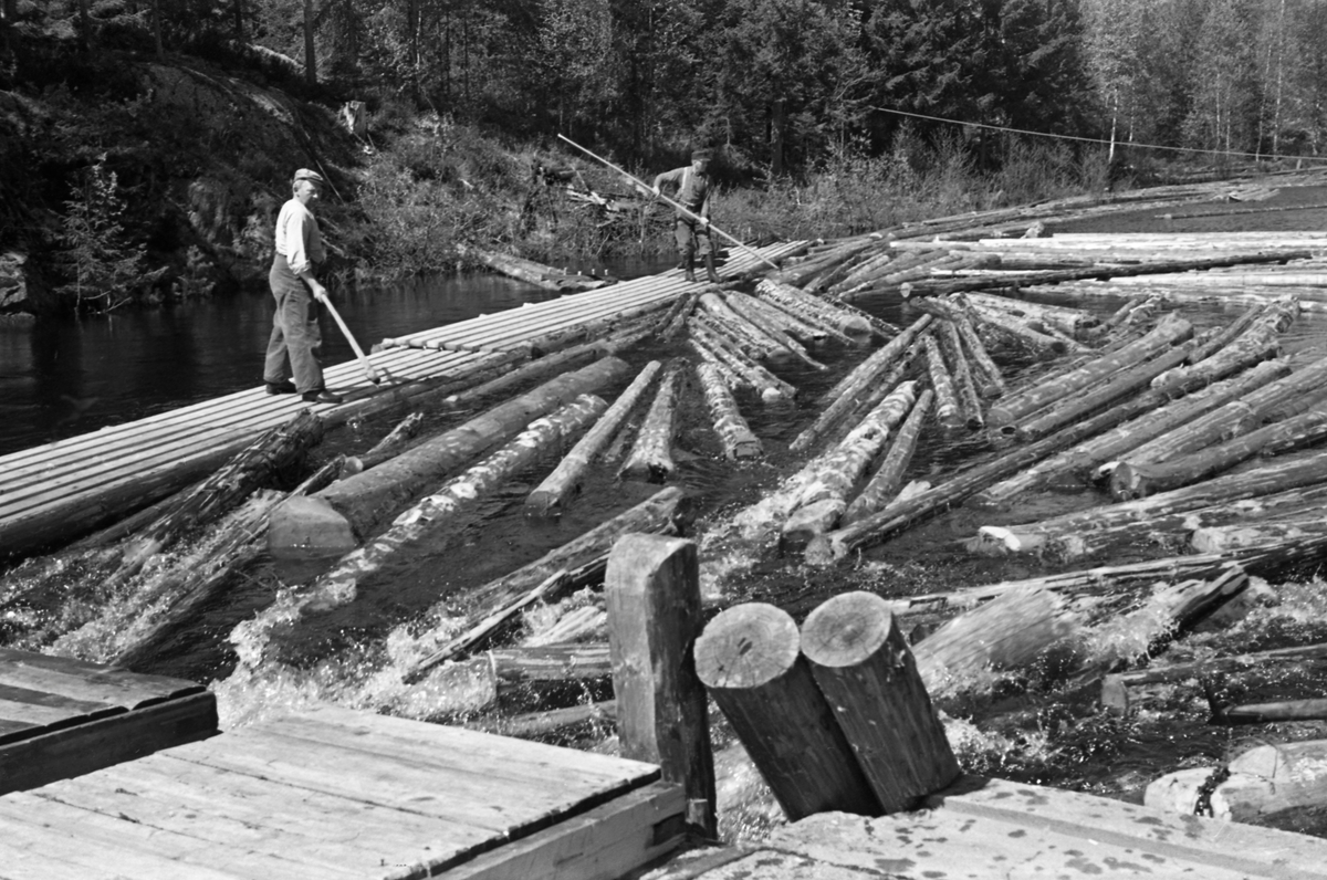 Fra Styggådammen i Haugsfåa i Nord-Odal i Hedmark, våren 1958. Dette var en lukedam i den det bergledte terrenget nedenfor Sæterstjøen. Dette fotografiet er tatt fra dambrua i morstrøms retning, mot ei stivlense som også fungrete som arbeidsplattform for to fløtere som forsøkte å hake tømmeret mot damåpningen ved hjelp av hakene sine. Damlukene lå på dambrua, i forgrunnen på fotografiet.