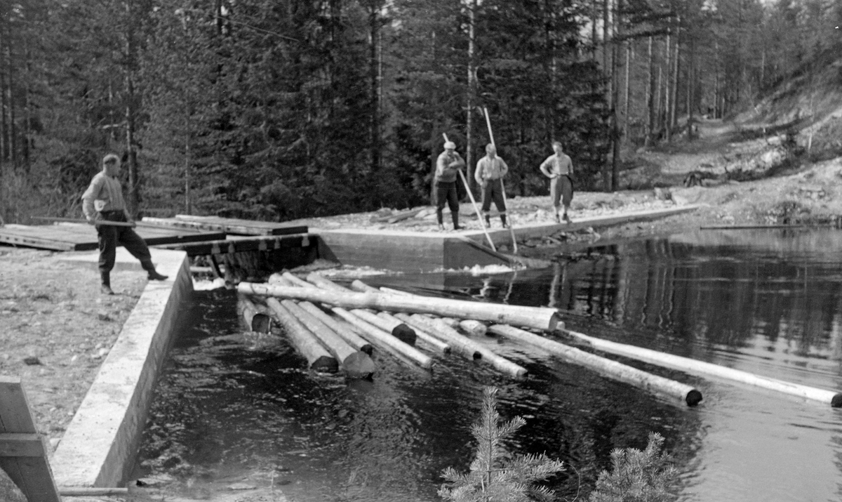 Gåsvassdammn i Tannåa i Nord-Odal i Hedmark, fotografert under fløtinga våren 1959. På dette tidspunktet var utløpet av den nedre Gåsvassdammen regulert ved hjelp av en en nystøpt betongdam med ett løp, som, når dammen skulle fylles, ble stengt ved hjelp av fire luker. Lukene lå på dambrua da dette fotografiet ble tatt, og dammen sto åpen. Tre fløtere med langskaftete haker så til at fløtingstømmeret fløt med lengderetningen parallelt med strømretningen inn i damløpet. En fjerde mann, uten hake, fulgte prosessen med interesse.