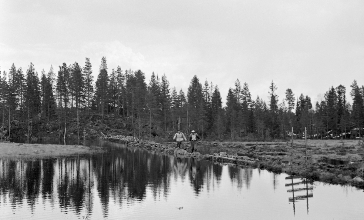 Tannsjødammen i elva Tannåa, Nord-Odal, Hedmark. Vann.