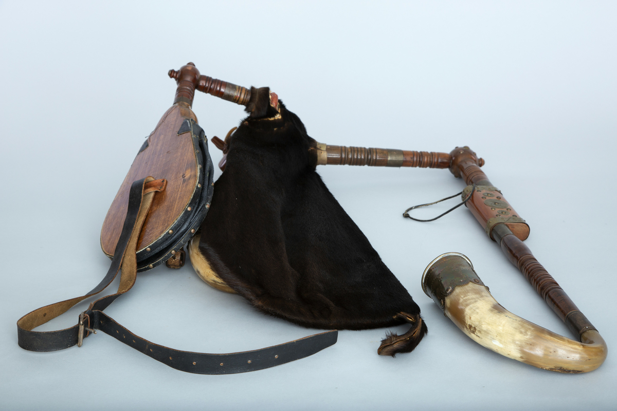 Instrument med sekk av hundeskinn, korthåret, mørk brun pels. Blåsebelg, en bordun og en melodipipe. Melodipipens øvre ende stikker ut av et skåret, stilisert bukkehode av tre med messingdekor. 6+1 fingerhull. Begge pipene har sylindrisk boring og ender i oppoverbøyde horn forsynt med hamrede messingplater. Bordunpipen består av fire dreide ledd (+horn) med messingknapper og ornamenter.