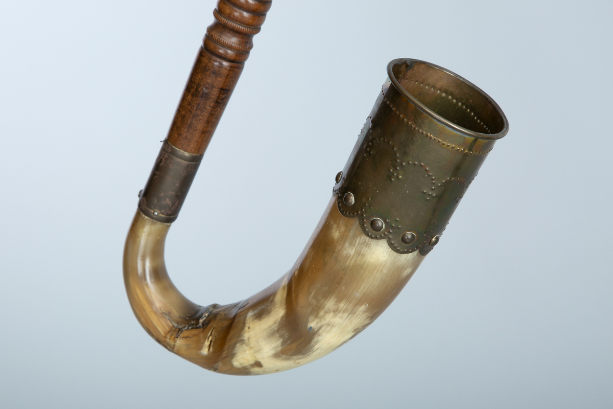 Instrument med sekk av hundeskinn, korthåret, mørk brun pels. Blåsebelg, en bordun og en melodipipe. Melodipipens øvre ende stikker ut av et skåret, stilisert bukkehode av tre med messingdekor. 6+1 fingerhull. Begge pipene har sylindrisk boring og ender i oppoverbøyde horn forsynt med hamrede messingplater. Bordunpipen består av fire dreide ledd (+horn) med messingknapper og ornamenter.