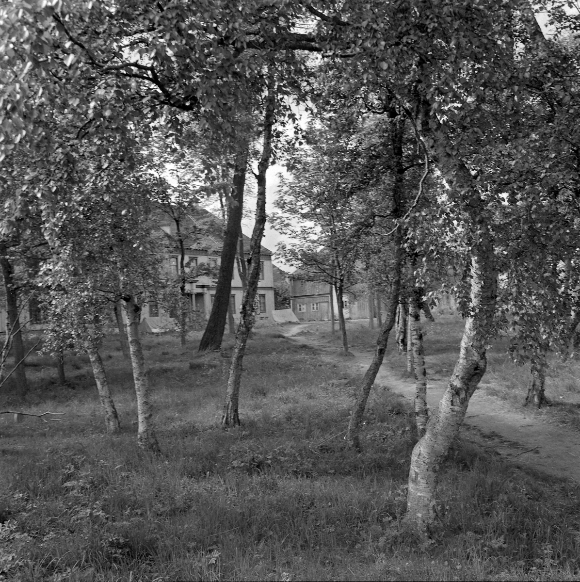 Lade gård, gårdsanlegg/skolebygning