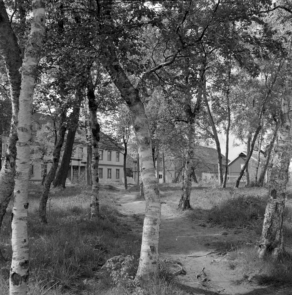 Lade gård, gårdsanlegg/skolebygning