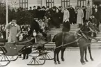 Kungabesök. Gustaf V framför Växjö högre allmänna läroverk, 1913.