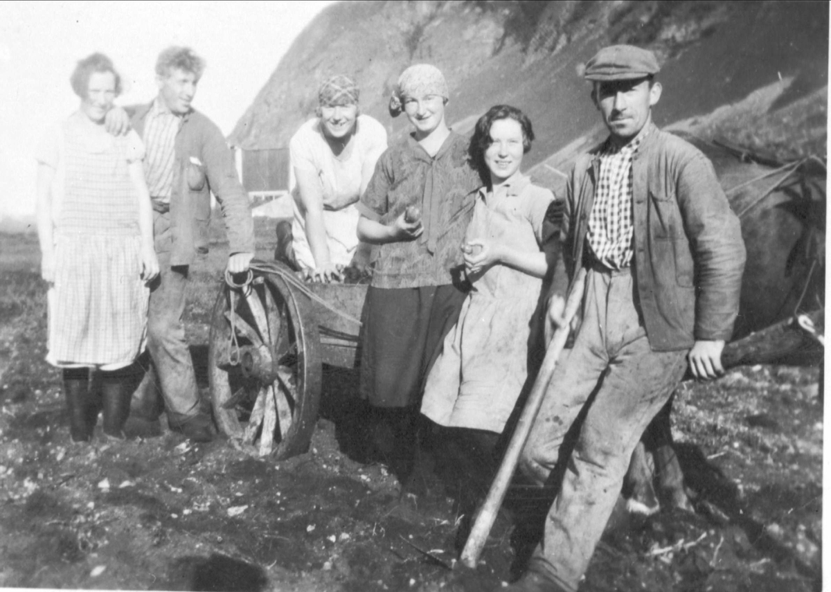 Folk med hest og kjerre, fotografert under potetopptaking på Indre Elgsnes.
