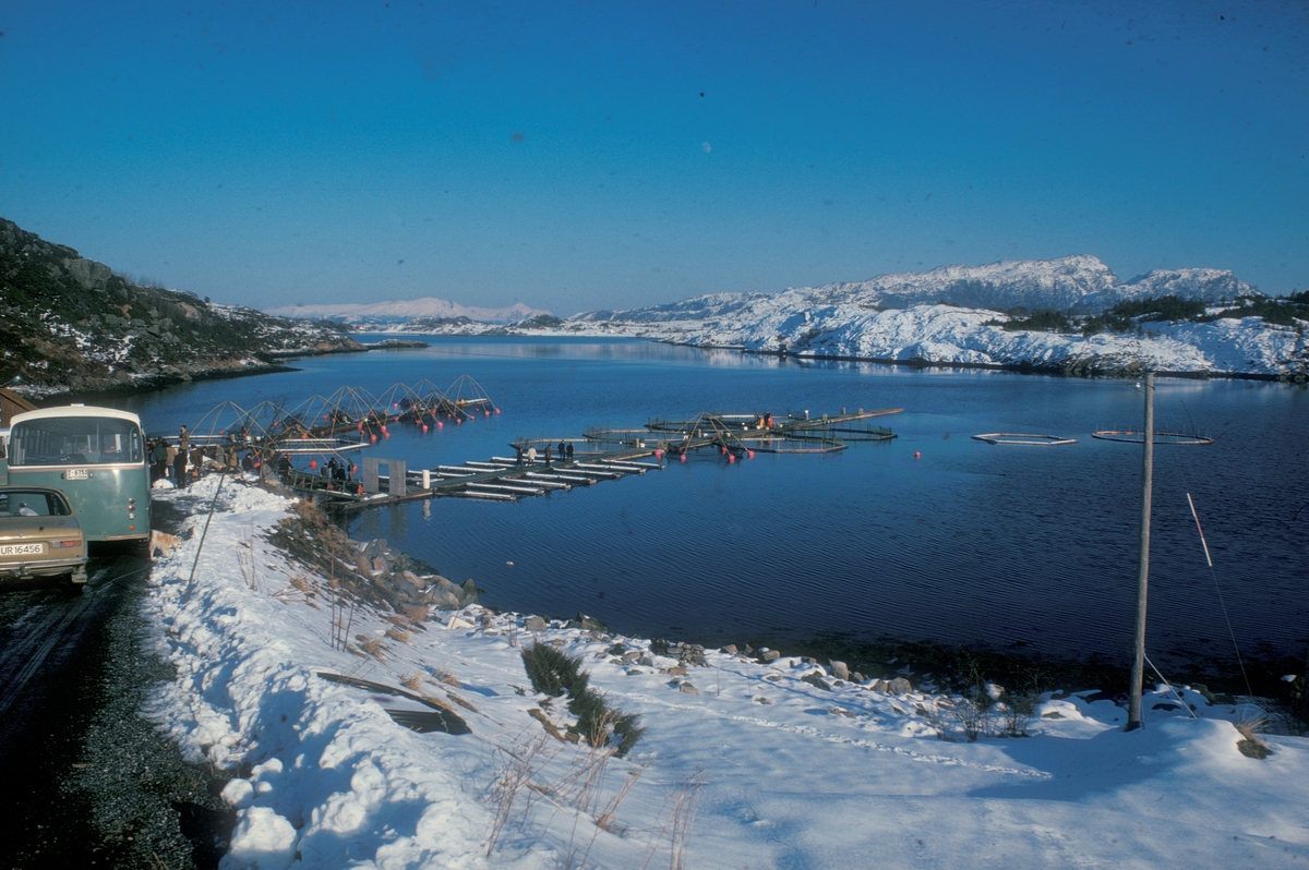 Averøy : Akvaforsks forsøksanlegg. Bildet er tatt i forbindelse med et besøk.