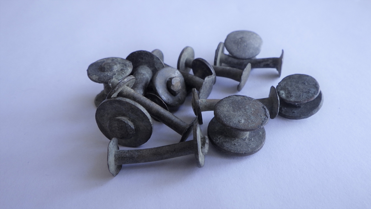 MALV: H. 10-27, STILKENS DIAM. 3-5 MM, HODET, ROEN OG STILKEN HAR SIRKULÆRT TVERRSNITT. HODET OG ROEN ER LIKE STORE. 