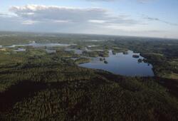 Vy över norra delen av sjön Bunn.