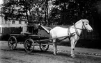 Man på kärra bakom häst.
Fotografens ant:Bäckmans Färghandel.
Firman startades 1893 av direktör Wilh. Bäckman som en mindre färghandel. Dess första lokaler låg vid Östra Torggatan. Firman hade därefter lokaler i Hotell Grands fastighet, och efter 10 års verksamhet flyttade företaget in i en egen fastighet. De första åren omfattade  verksamheten försäljning endast av färger och oljor, men efterhand upptogs även andra artiklar. Största intresset ägnades dock åt detaljhandeln. År 1924 ombildades firman till aktiebolag med Wilh. Bäckman som verkställande direktör. Efter hans död blev Adolf Edenholm, som varit anställd sedan 1901, chef för verksamheten.
Källa: Nyblom-Svanqvist, Näringsliv i Värmland, 1945.