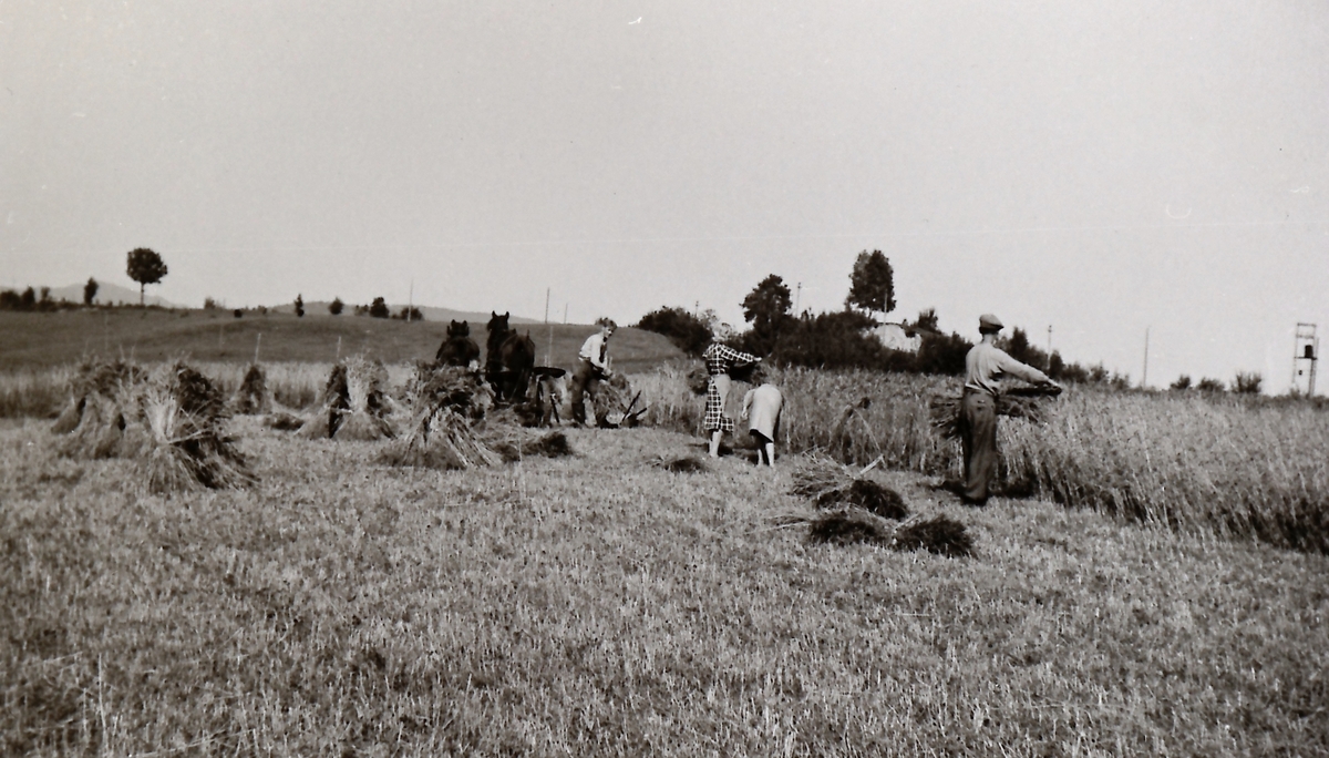 Skuronn, Ivar Tveita (1919-1980), Inger, f.1921 og Astrid Tveita, f.1924,  Kristian Tveita, f.1915