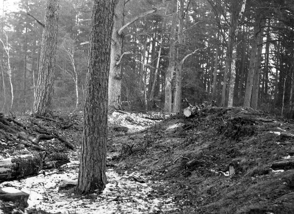 S:a Unnaryds sn. Ruinerna av Vallsnäs medeltida sätesgård.