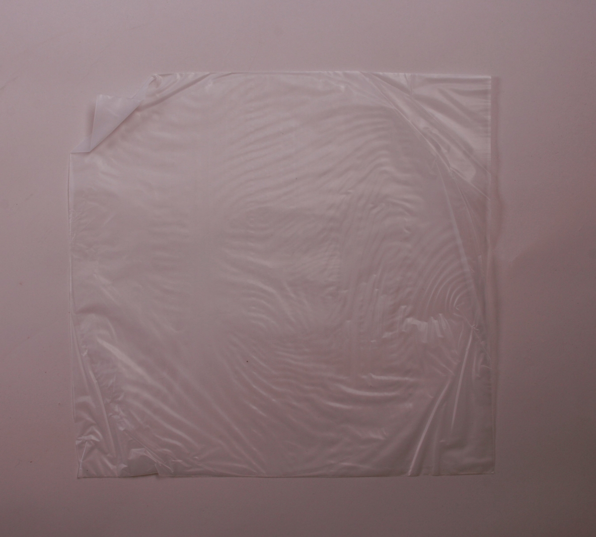 Grammofonplate i svart vinyl og plateomslag i papp. Plata ligger i en plastlomme.
