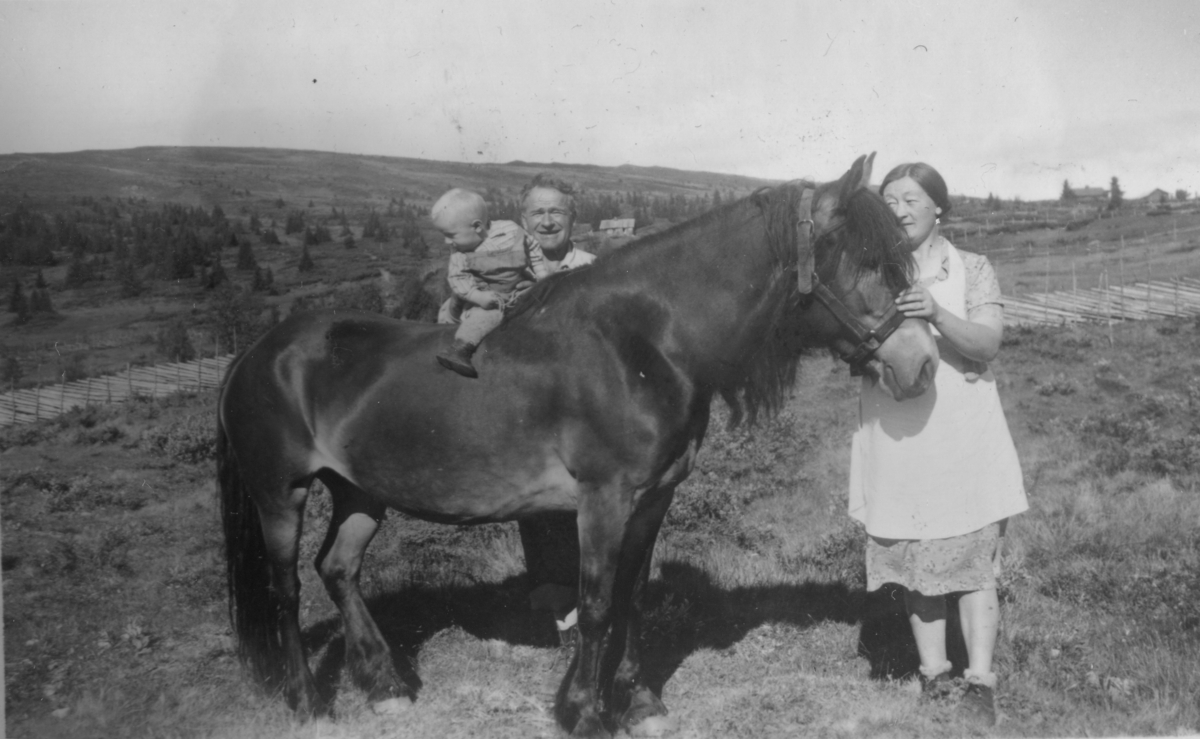 Hest og folk på Ulvhildsete.